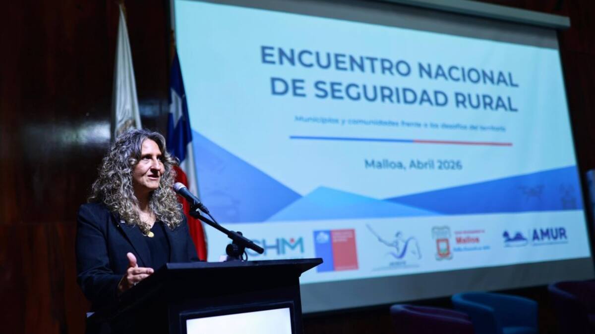 Revelan que subsecretaria de Prevención del Delito habría defendido a miembros de banda criminal