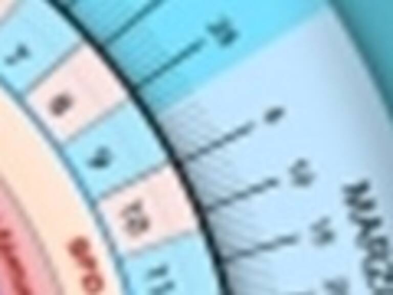 Facemamá lanzó en Appstore su aplicación Gestograma