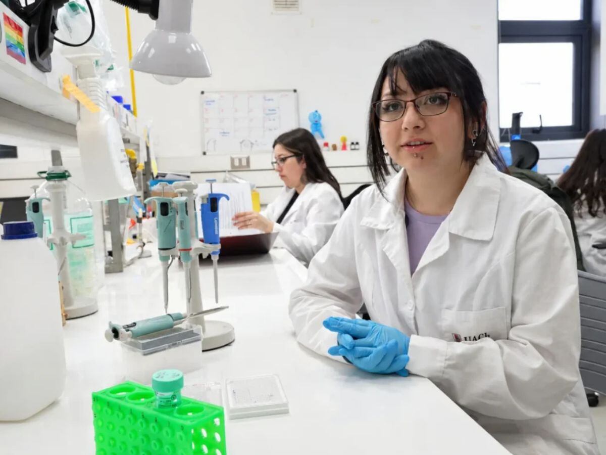 El “oro púrpura” de la Patagonia: el descubrimiento de una chilena que usa el maqui para combatir agresivo cáncer cerebral