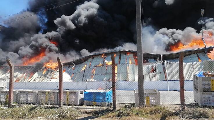 Voraz incendio afecta a empresa frutícola en Requínoa: se solicitó apoyo de bomberos de la RM por riesgo de propagación a zona con químicos