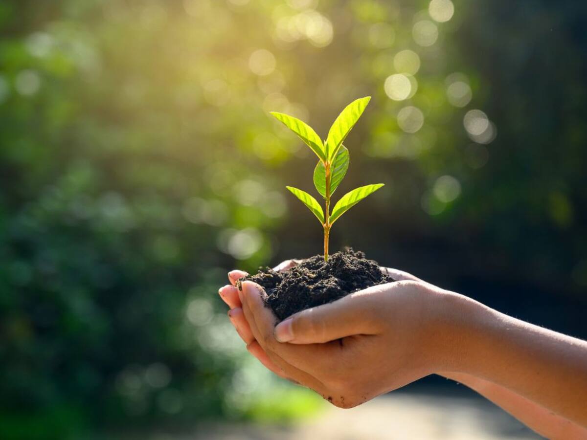 Día del Medio Ambiente: el preocupante dato que muestra menor compromiso climático en Chile