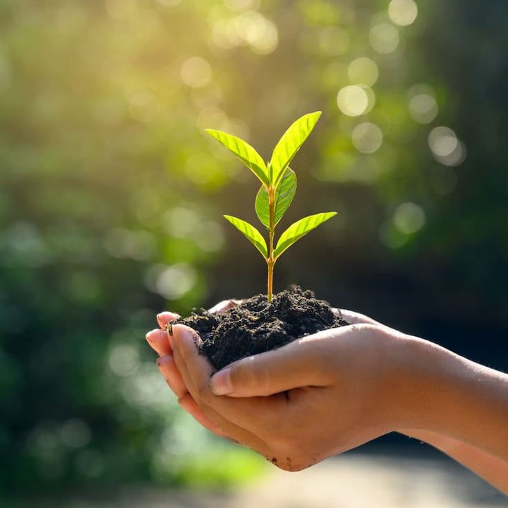 Día del Medio Ambiente: el preocupante dato que muestra menor compromiso climático en Chile