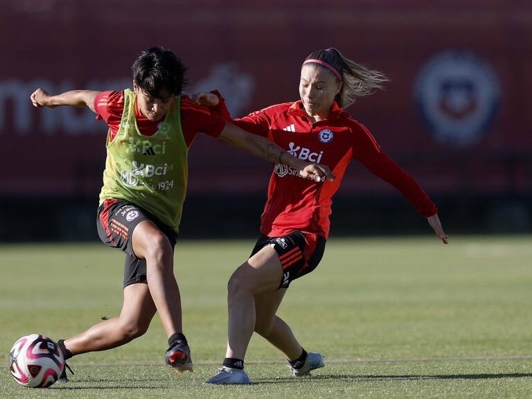 Carlos Parra - Comunicaciones FFCh