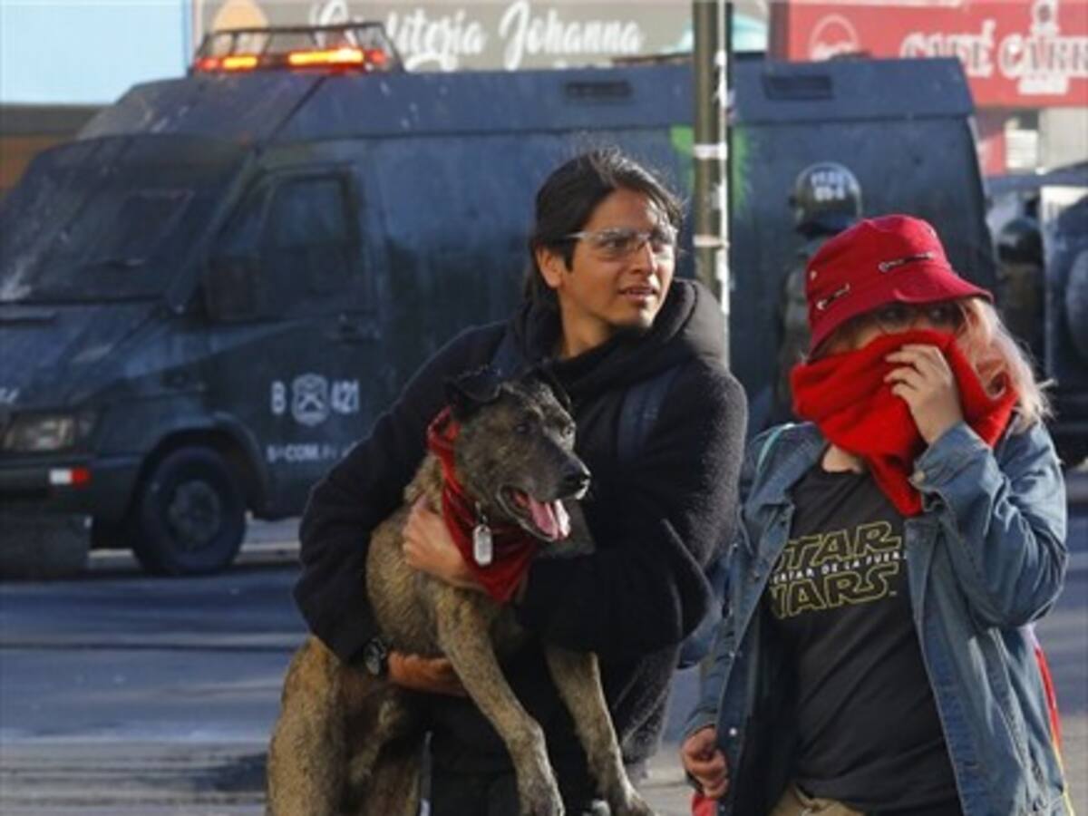 «Rucio Capucha» finalmente encontró hogar