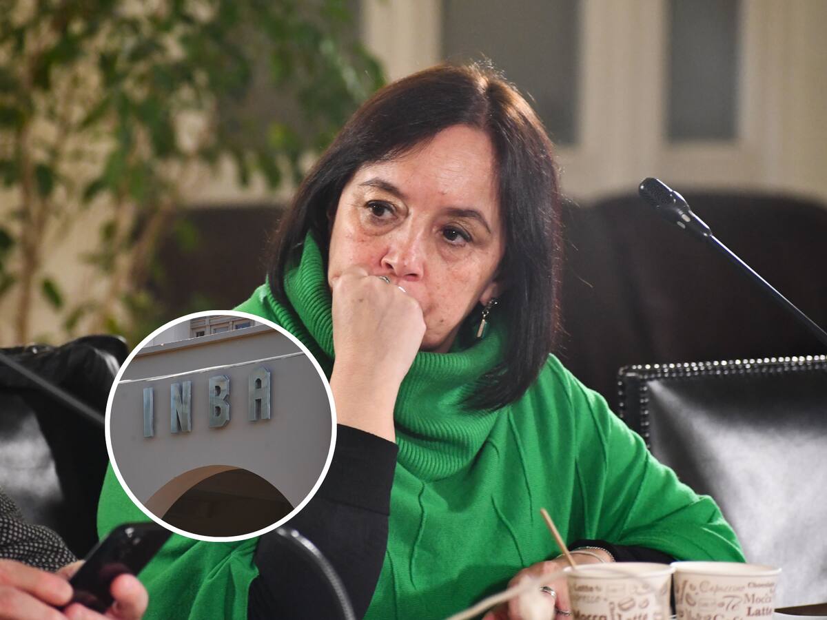 Senadora Carmen Gloria Aravena exige renuncia de la directora del INBA: “Es inaceptable que los derechos de los menores se violen de esta manera”