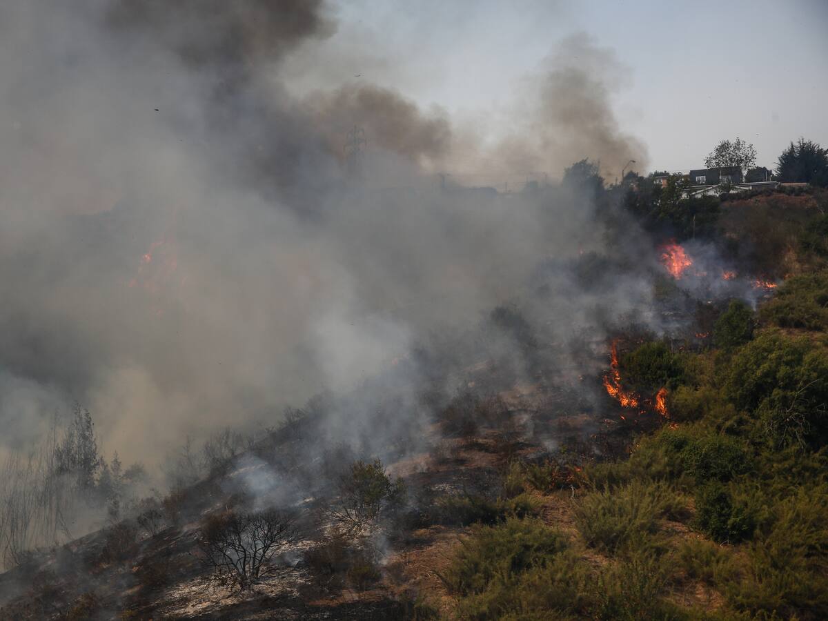 Por falta de pruebas: sospechosos de iniciar focos de incendios en Viña del Mar quedan en libertad tras no ser formalizados