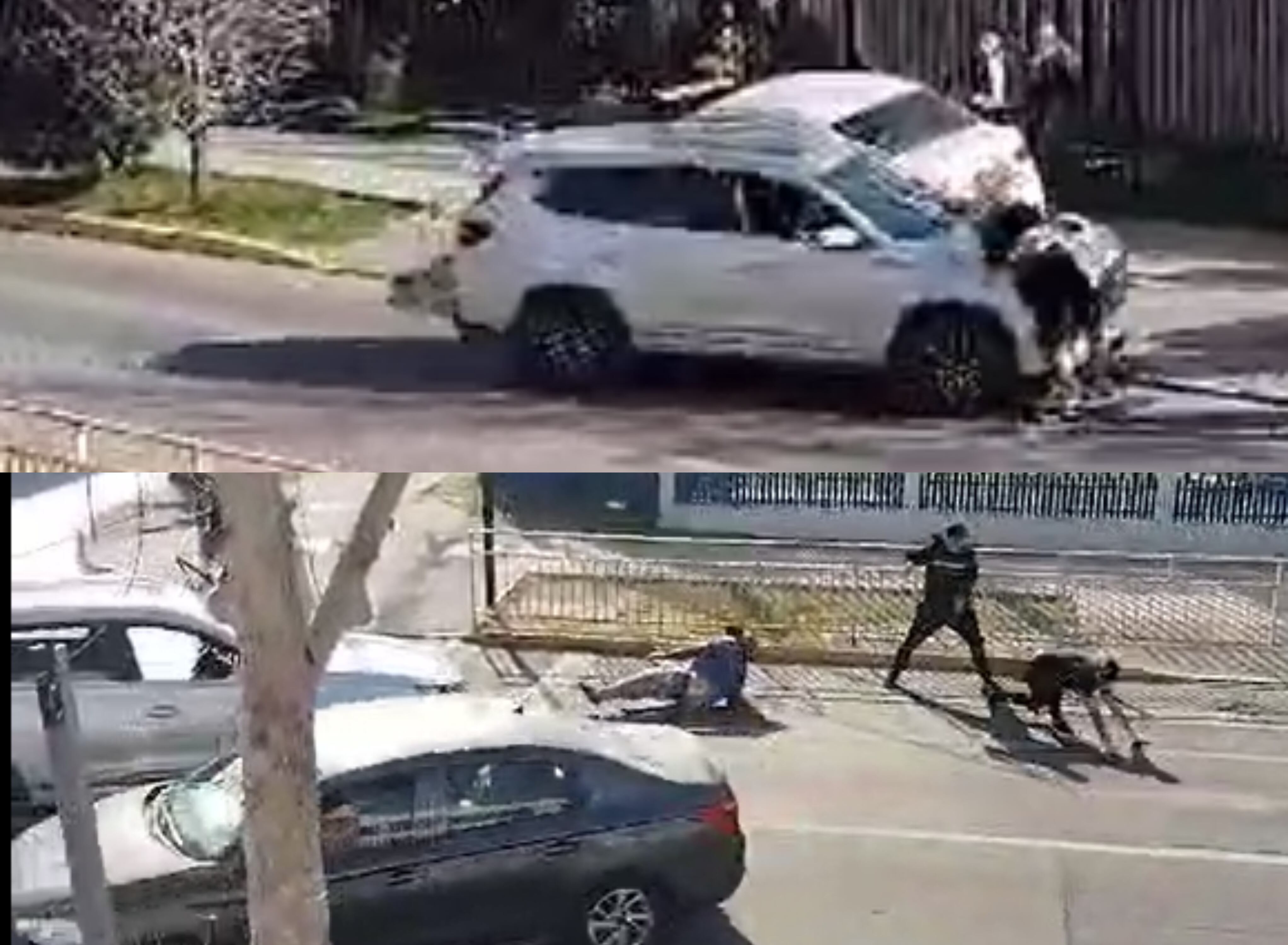 Capturas