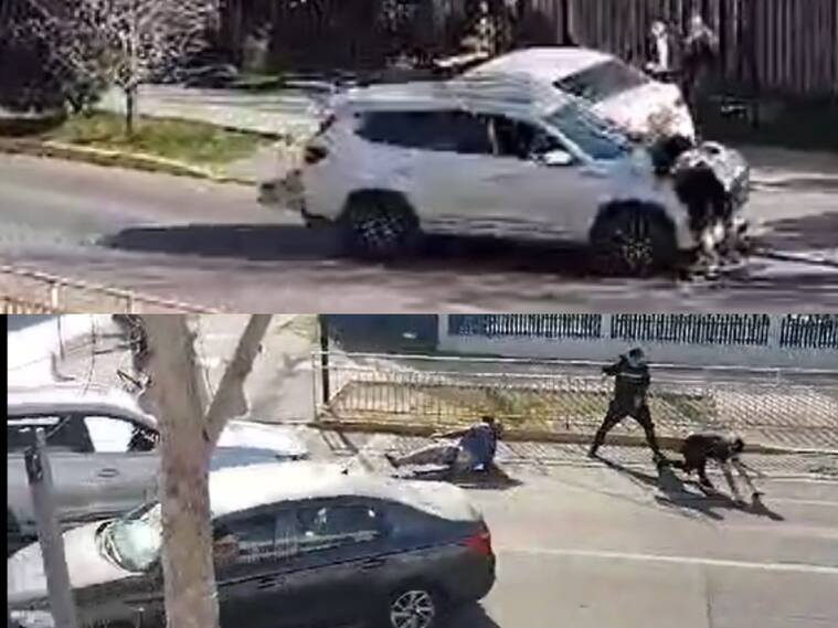 Capturas