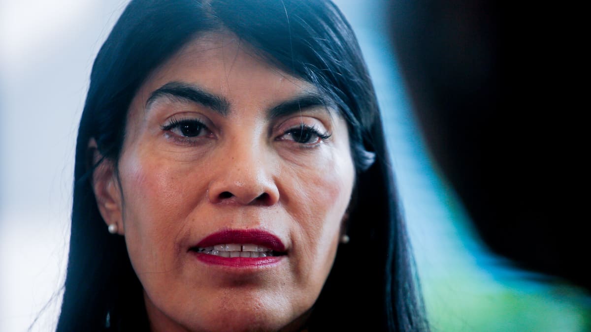 Crisis en Ciencia por eventuales despidos: Gobierno descarta plan masivo y ANEF se declara alerta