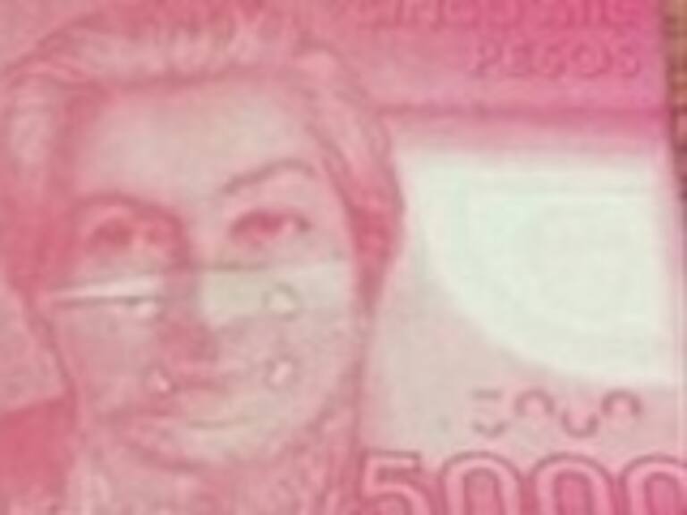 Ciudadano Inteligente: Votantes debiesen saber quién está financiando las campañas