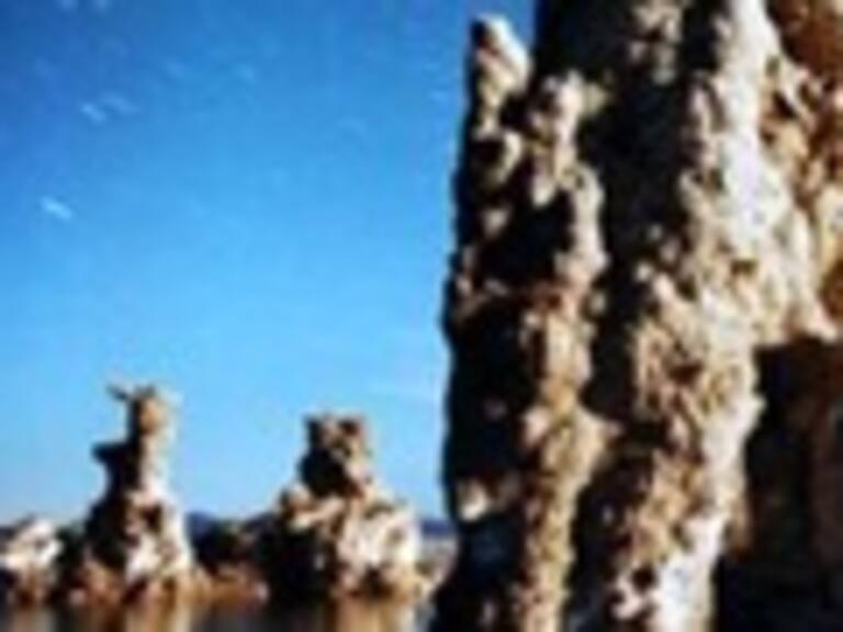 Descartaron existencia de bacteria que viva en arsénico