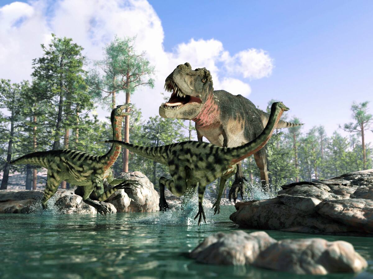Hallazgo prehistórico: Científicos descubren nueva especie de dinosaurio con “garras gigantes” en Mongolia
