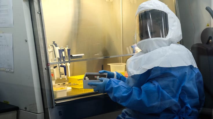 Fiebre hemorrágica en Talcahuano: experto explica qué es, sus riesgos y por qué descartaron Ébola