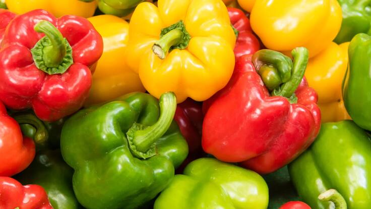 ¿Cuál es la diferencia entre los pimentones verdes, rojos y amarillos?