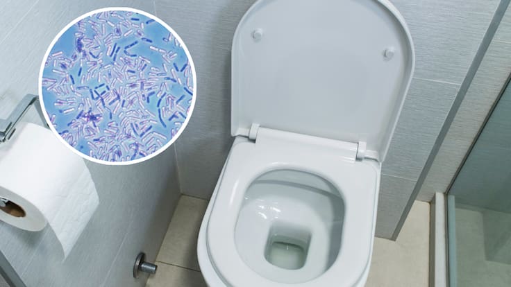 Es más sucio que un inodoro: el objeto que casi todos usan en verano y que acumula millones de bacterias