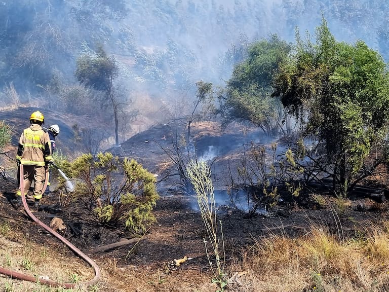 Seremi de Justicia eleva a 134 la cifra de fallecidos por incendios forestales en Valparaíso