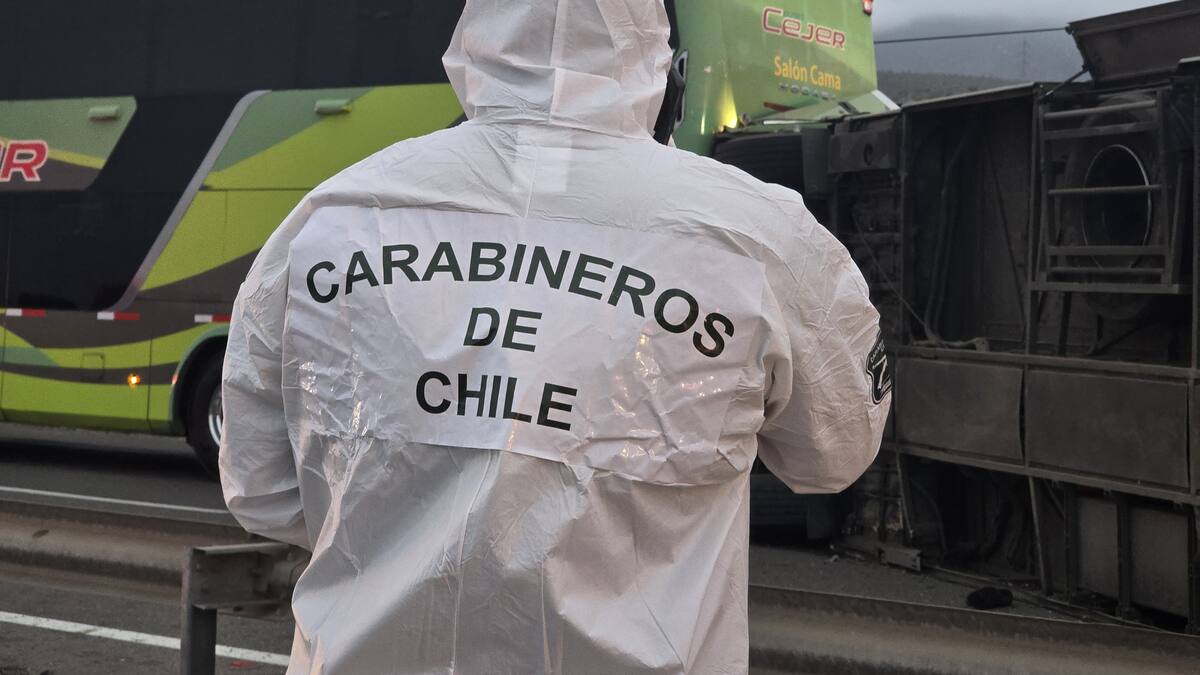 “Generó la detención de un bus”: este sería el motivo que generó fatal accidente de tránsito en Coquimbo