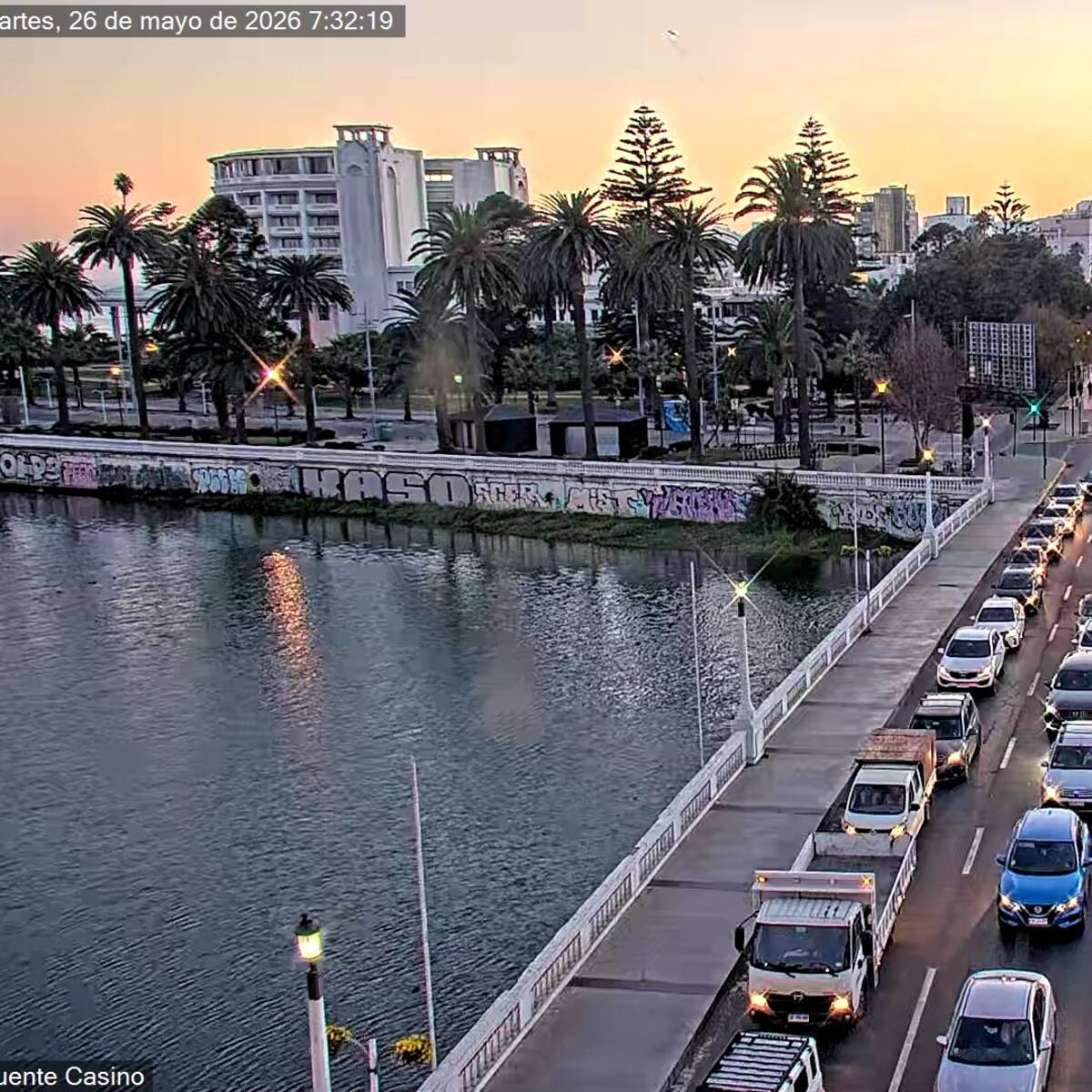Fatal atropello colapsa avenida España: enorme congestión entre Viña del Mar y Valparaíso