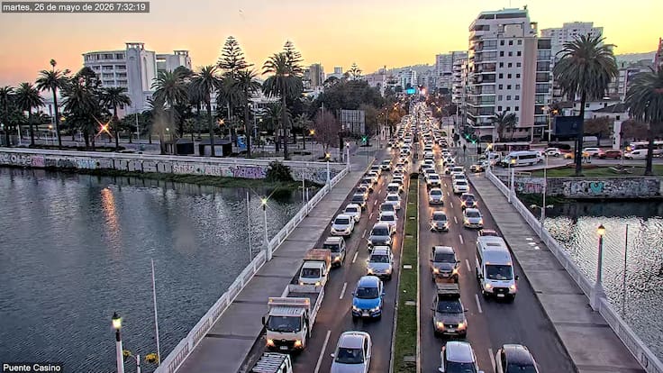 Fatal atropello colapsa avenida España: enorme congestión entre Viña del Mar y Valparaíso