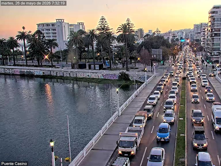 Fatal atropello colapsa avenida España: enorme congestión entre Viña del Mar y Valparaíso