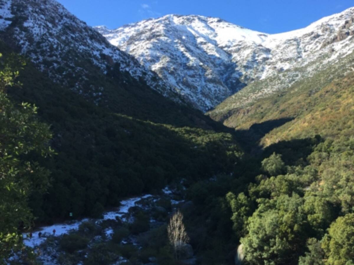 En medio de cuarentena: Carabineros detectó a 53 personas que se encontraban en la Quebrada de Macul