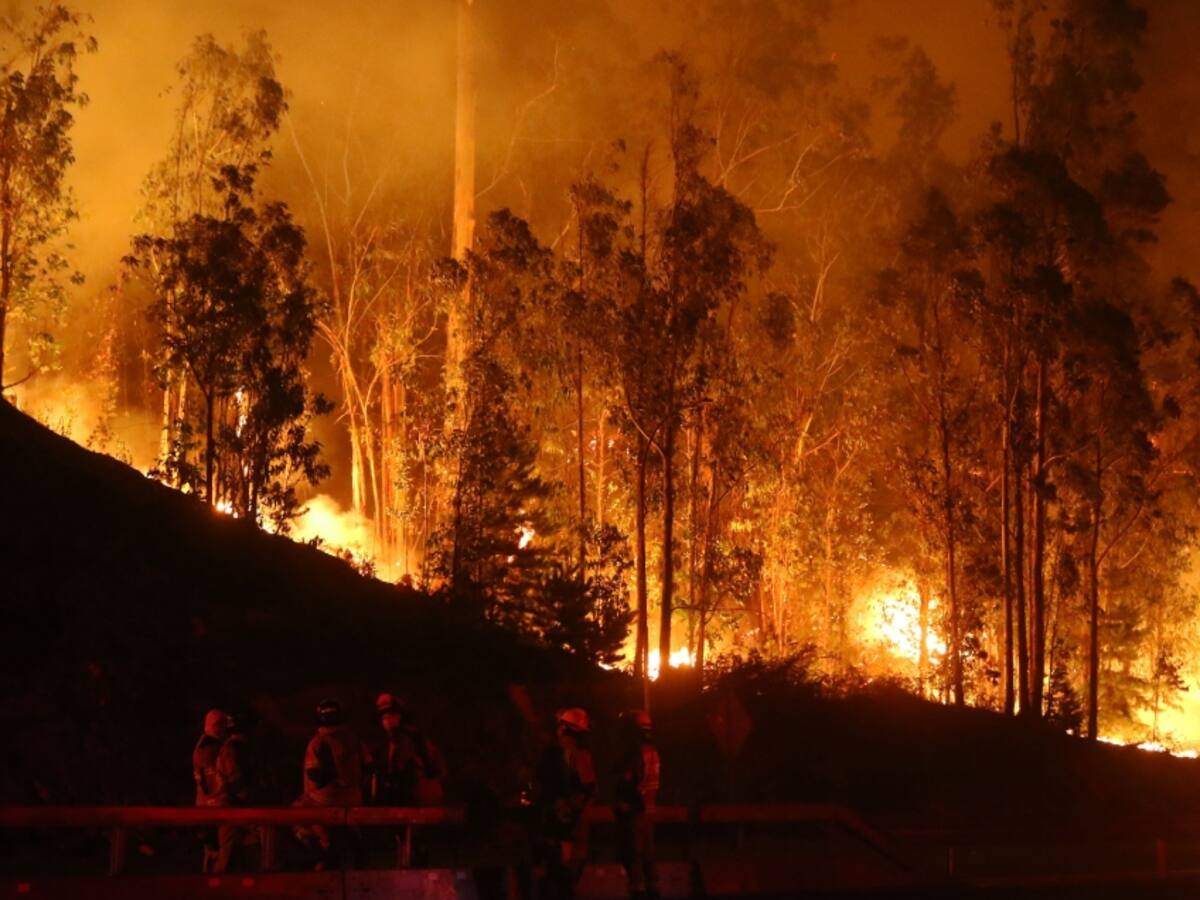 Gobierno informa de un herido con el 70% del cuerpo quemado a causa de incendios forestales en el país
