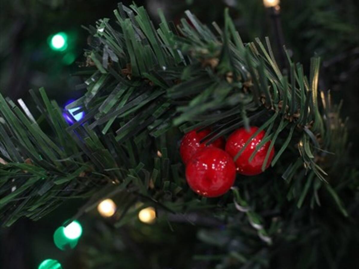 Ganadores: El Ciudadano ADN te regalonea en esta Navidad