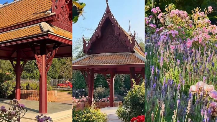 Una pequeña parte de Tailandia en Chile: así es el área verde de Santiago que es gratis (y dónde se ubica)