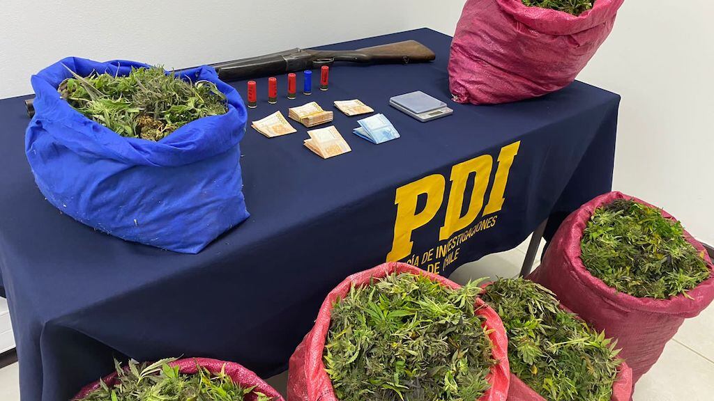 PDI incauta cannabis