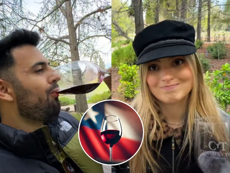 ¿Es mejor el vino chileno o el argentino? Turistas entregan contundente veredicto tras visitar famosa viña nacional
