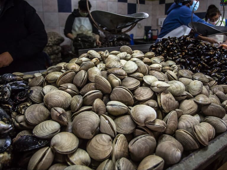 31 DE MARZO 2021 / OSORNOPescadería de la Feria Libre de Rahue atiende a sus clientes durante la Semana Santa en cuarentena total provocada por la emergencia sanitaria.-
FOTO: FERNANDO LAVOZ /AGENClAUNO.