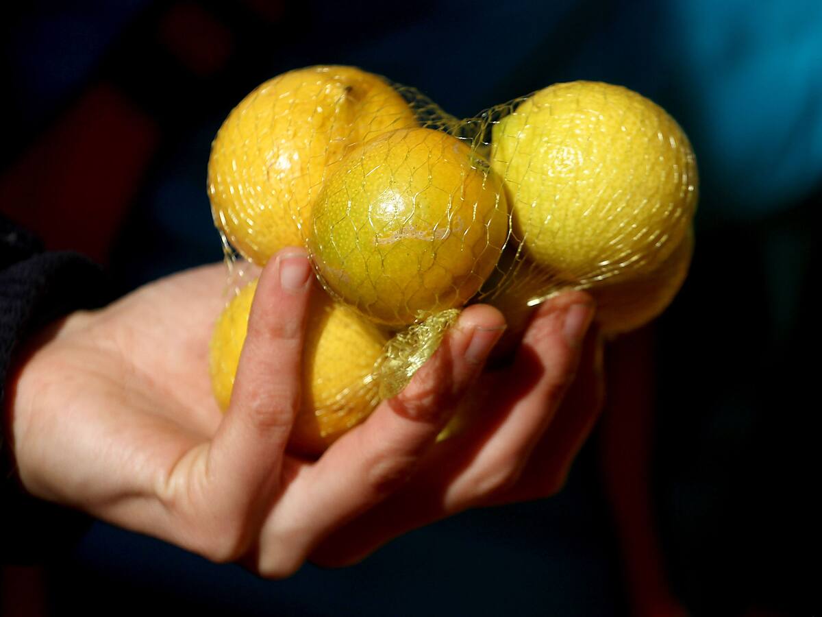 Productores de cítricos: Crisis en restaurantes y casinos causó fuerte baja en el precio del limón