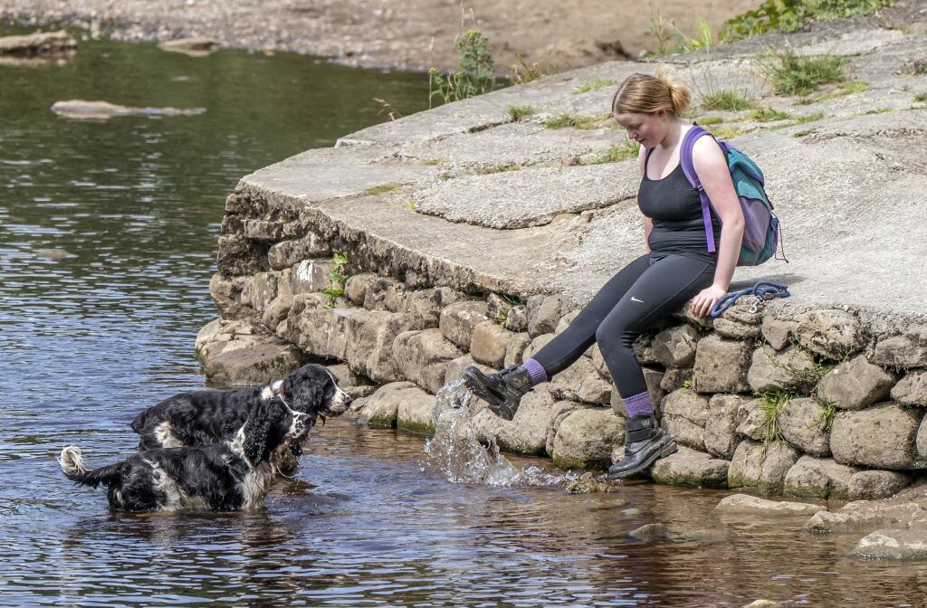 Mujer y sus perros juegan en río de North Yorkshire para enfrentar calor