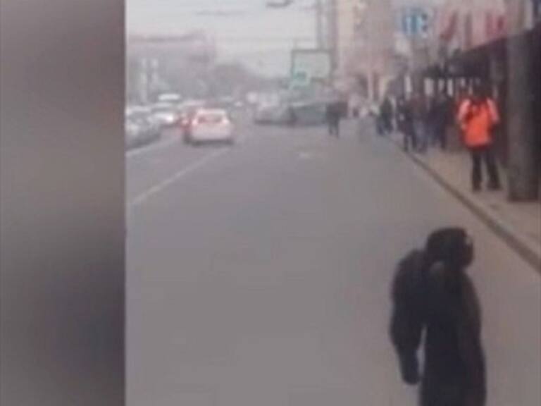 Chimpancé se escapó de un circo y caminó por las calles de Krasnodar
