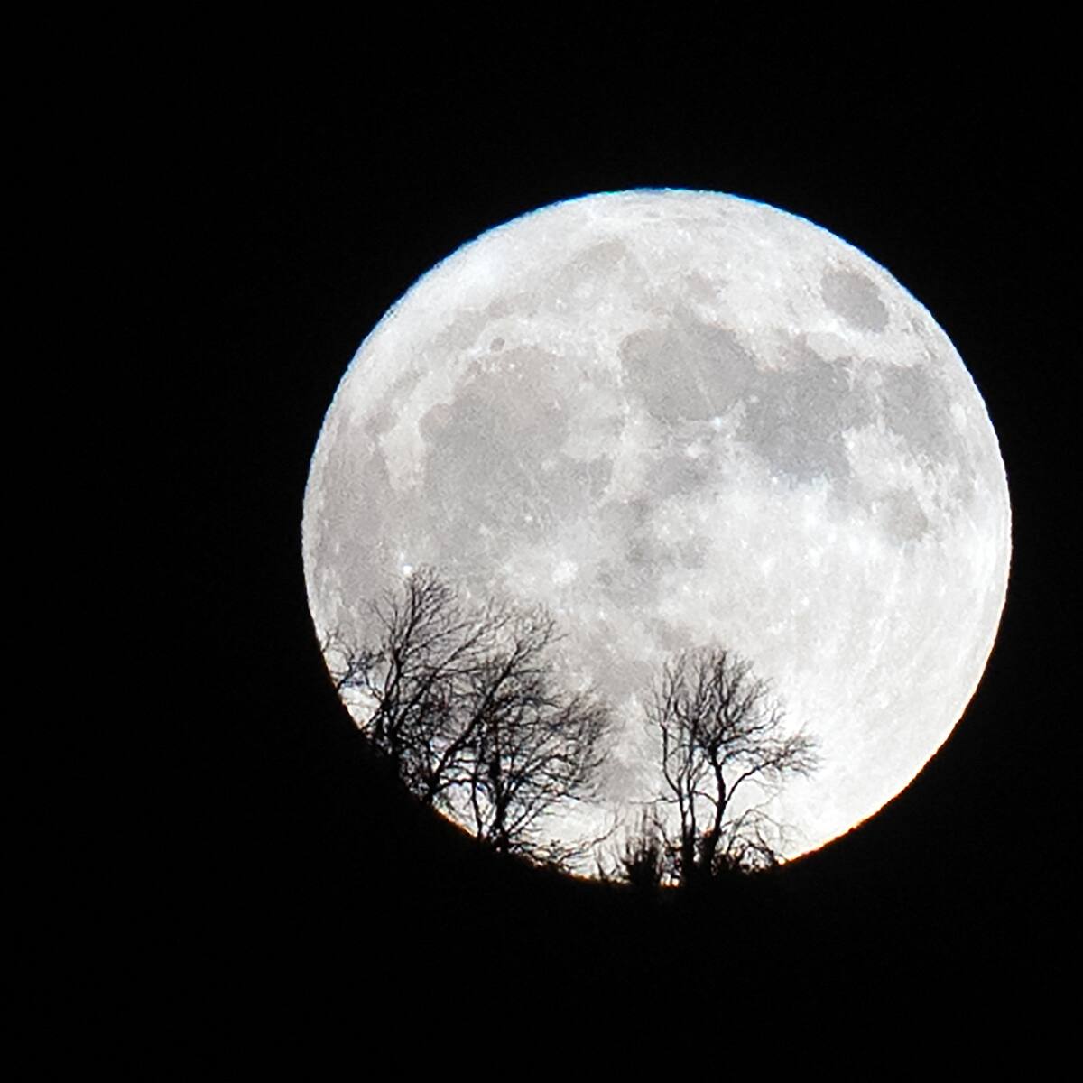 “Estará más alta que cualquier otra”: a qué hora se verá HOY la última superluna del año en Chile