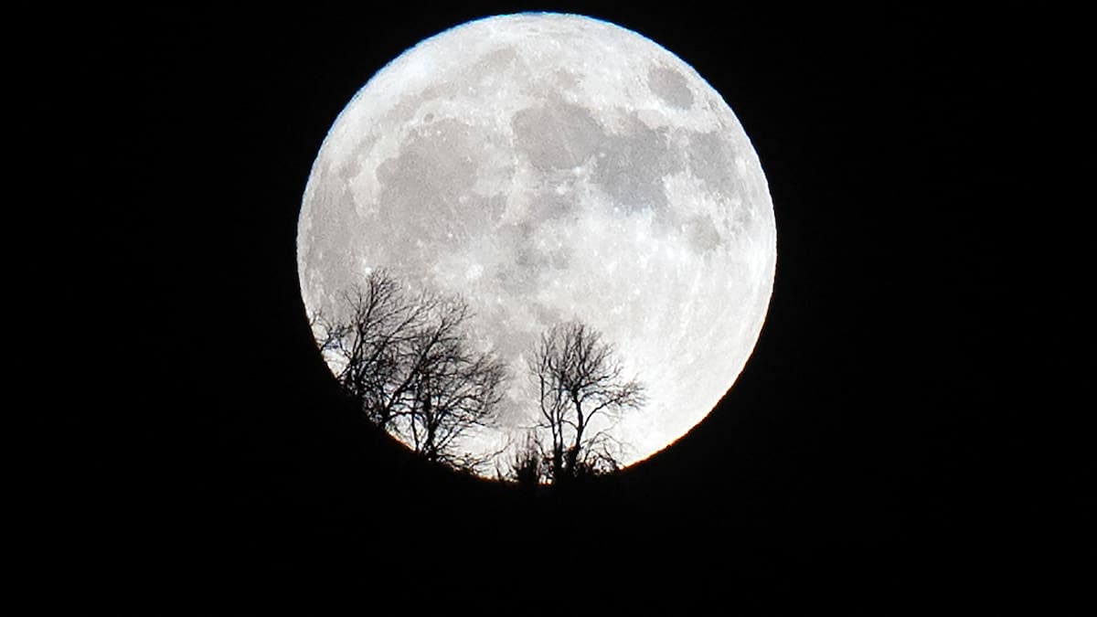“Estará más alta que cualquier otra”: a qué hora se verá HOY la última superluna del año en Chile