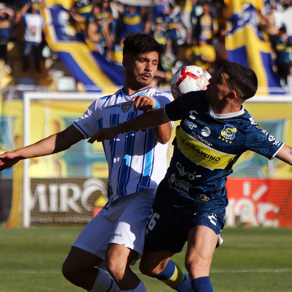 Everton derrota a Huachipato y queda a un paso de terminar en puestos para la Copa Sudamericana