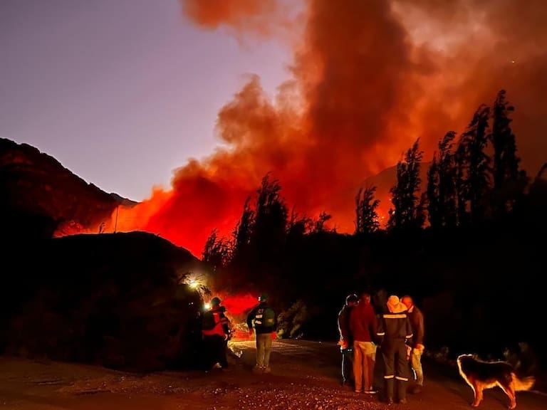 Declaran Alerta Roja en comuna de Monte Patria por incendio forestal