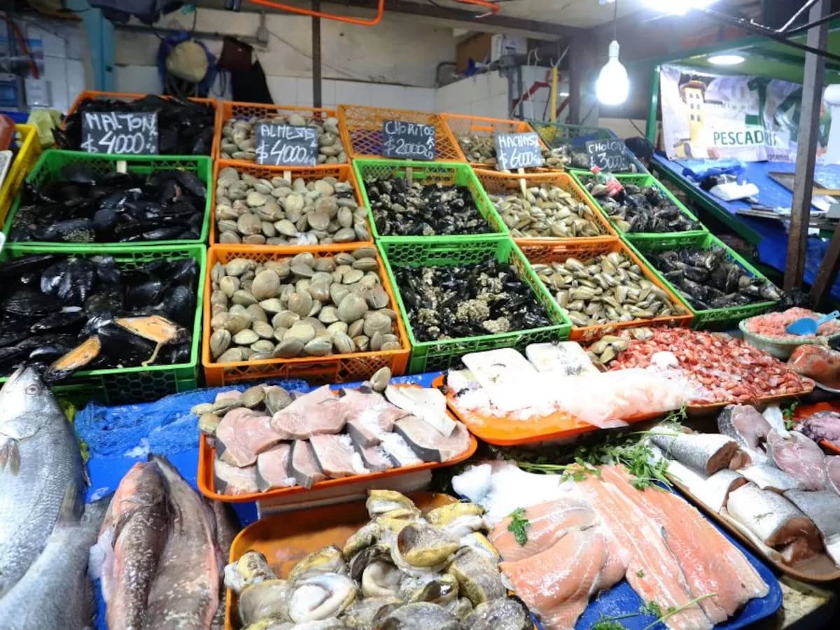 ¿Cómo elegir pescados y mariscos? Tips para comprar productos marinos de forma segura durante Semana Santa
