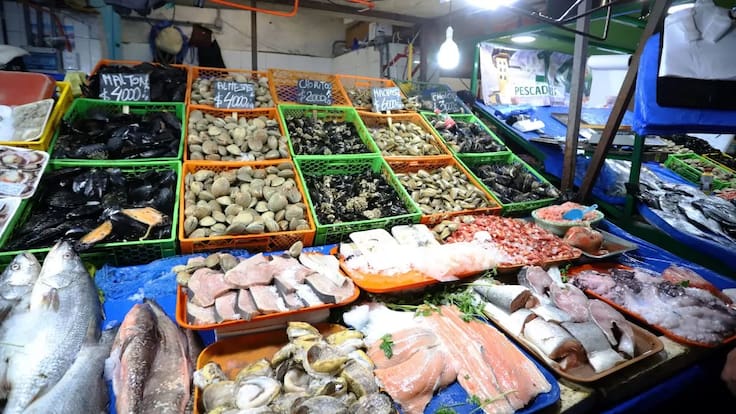 ¿Cómo elegir pescados y mariscos? Tips para comprar productos marinos de forma segura durante Semana Santa