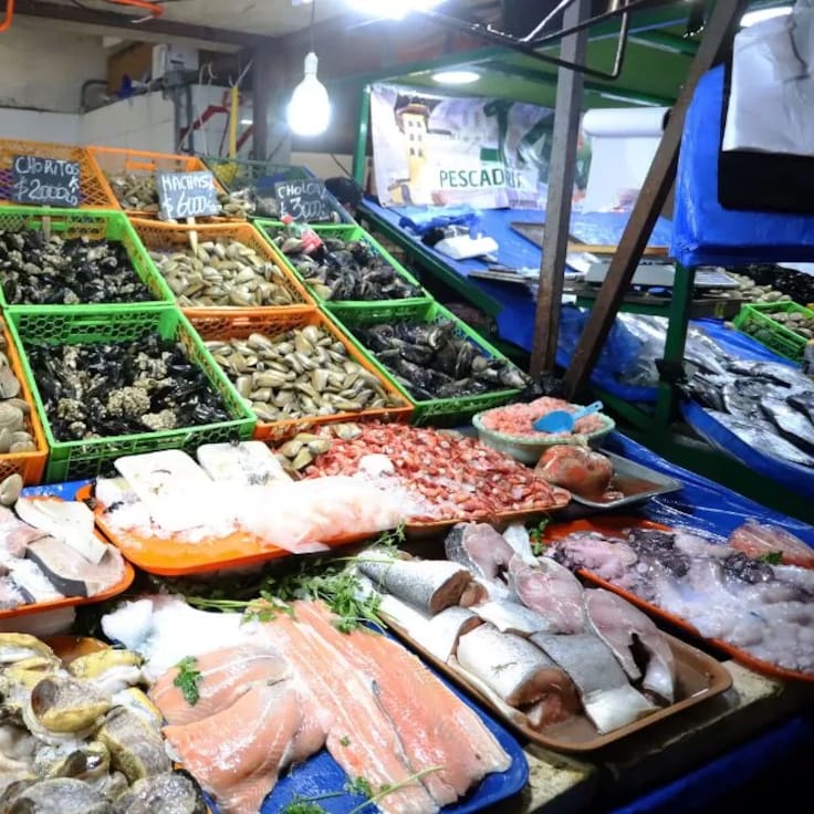 ¿Cómo elegir pescados y mariscos? Tips para comprar productos marinos de forma segura durante Semana Santa