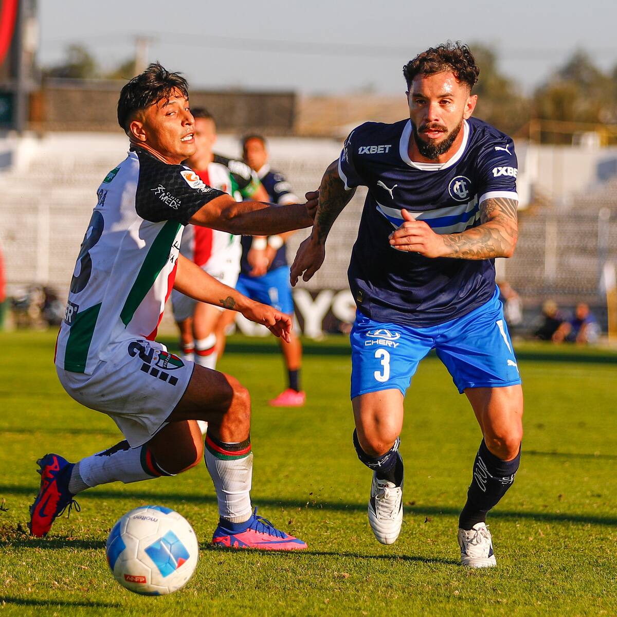 Programación fútbol chileno: ¿Qué partidos se juegan hoy, 22 de noviembre, y quién transmite?
