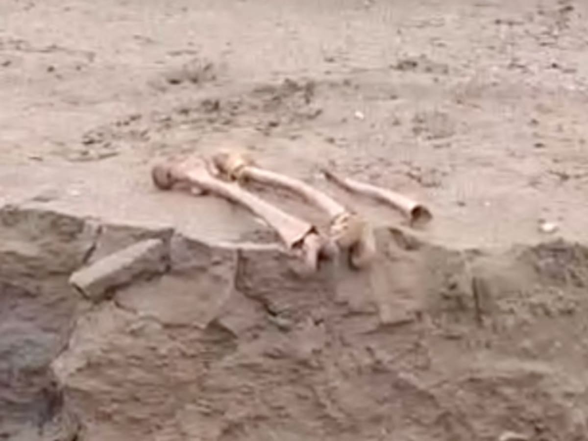 Macabro hallazgo en Coquimbo: socavón por el sistema frontal deja al descubierto osamentas humanas