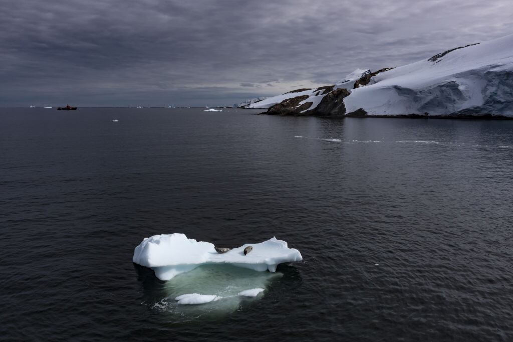 Un trozo de hielo flota en el océano en el inicio de la Antártida