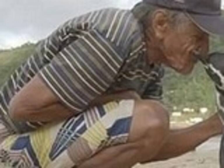 La gran historia de amistad de un pingüino con el hombre que lo salvó