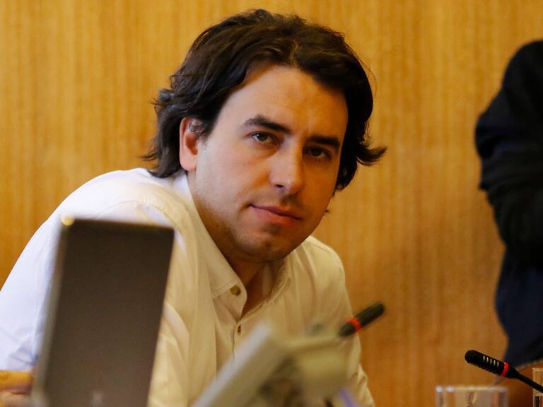 Diputado Vlado Mirosevic