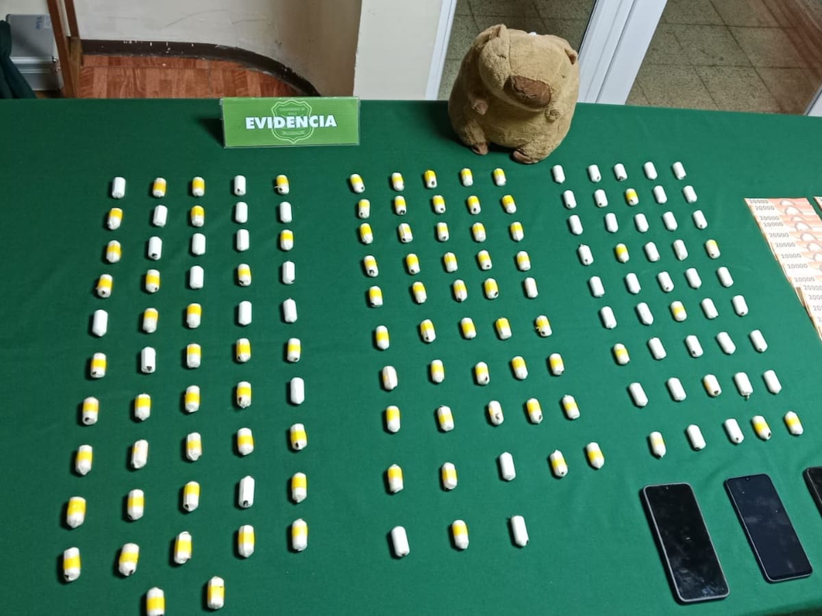 Un peluche de capibara fue la clave: decomisan casi 1,5 kilos de cocaína en bus que iba a Puerto Montt