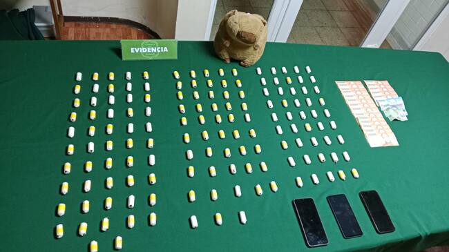 Un peluche de capibara fue la clave: decomisan casi 1,5 kilos de cocaína