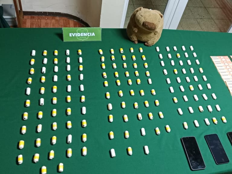 Un peluche de capibara fue la clave: decomisan casi 1,5 kilos de cocaína