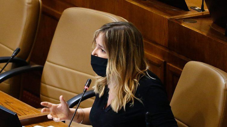 Diputada Maria Jose Hofmann